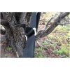 HAMMOCK BLISS DELUXE CINCHING TREE STRAPS