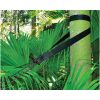 HAMMOCK BLISS STANDARD TREE STRAPS