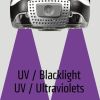 Dorcy 41-4320 Pro Series 470-Lumen LED High CRI and UV Tilting Headlamp