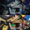Dorcy 41-4320 Pro Series 470-Lumen LED High CRI and UV Tilting Headlamp
