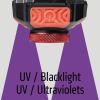 Dorcy 41-4335 Ultra HD 530-Lumen Headlamp and UV Light