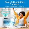 BLACK+DECKER™ BDMC10 3-Speed Portable USB-Powered Desktop Evaporative Air Cooler with Fan, White/Gray