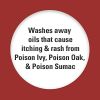 Coleman Poison Ivy Cleansing Wash – Oil-Removing Skin Cleanser (4 oz)