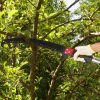 26ft Manual Pole Saw – Lightweight Tree Trimmer with Sharp Steel Blade for High Trees & Shrubs