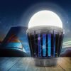 PORTABLE LANTERN AND ZAPPER