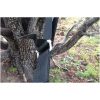 HAMMOCK BLISS DELUXE CINCHING TREE STRAPS