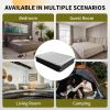 16" Full-Size Self-Inflating Air Mattress – Built-In Pump, Thick Comfort Bed for Camping & Guests