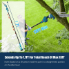2-in-1 Cordless Pole Saw & Mini Chainsaw û 13FT Reach, Brushless Motor