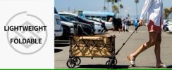 Whitsunday Compact Folding Wagon Cart