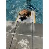 Solstice Watersports Inflatable PupPlank Dog Ramp