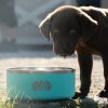 Toadfish Non-Tipping Dog Bowl