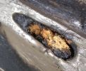 Gator Guards Gator Fiberglass Reinforced Repair Patch