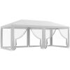 10' x 20' Foldable Canopy
