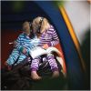 HEADLAMP - KIDS